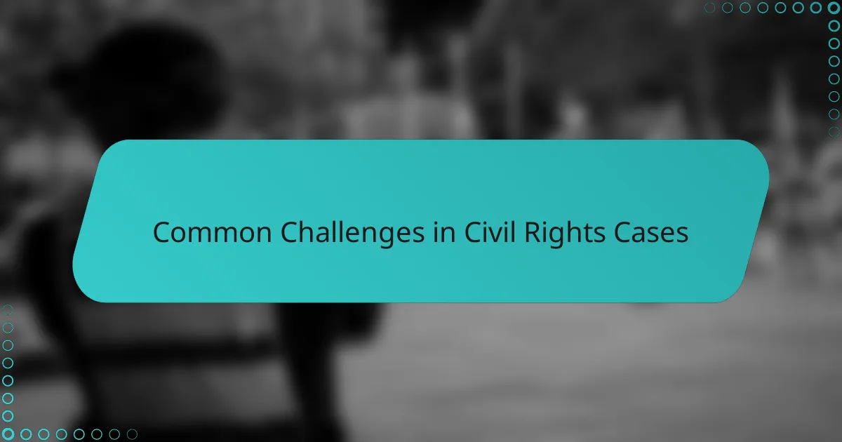 Common Challenges in Civil Rights Cases
