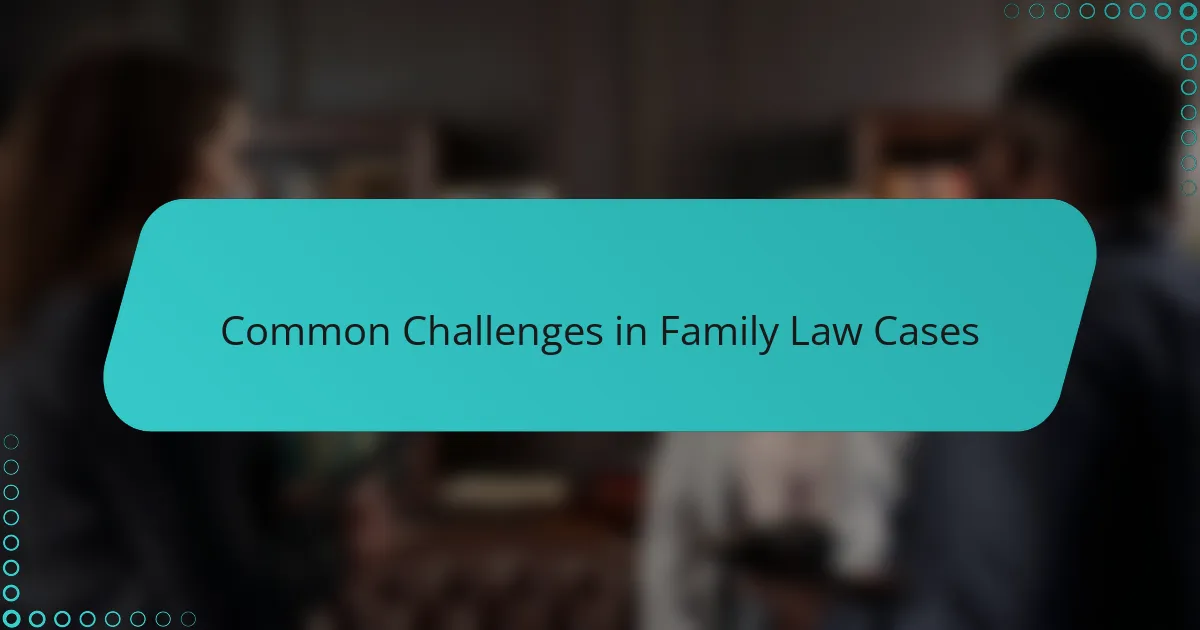 Common Challenges in Family Law Cases