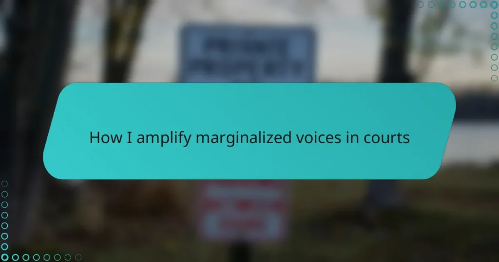 How I amplify marginalized voices in courts