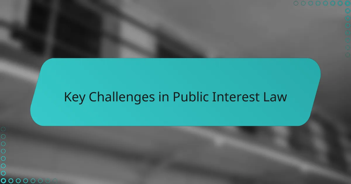 Key Challenges in Public Interest Law