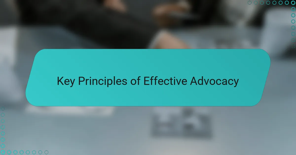 Key Principles of Effective Advocacy