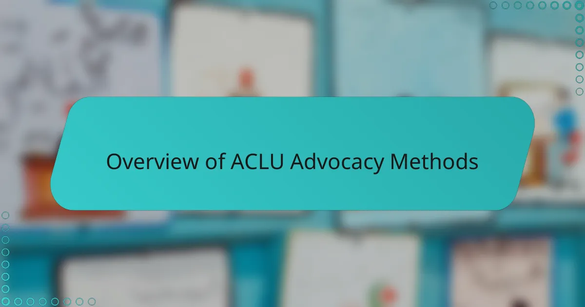 Overview of ACLU Advocacy Methods