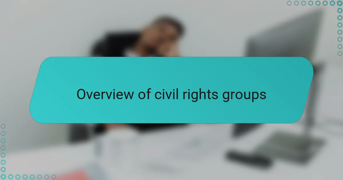 Overview of civil rights groups