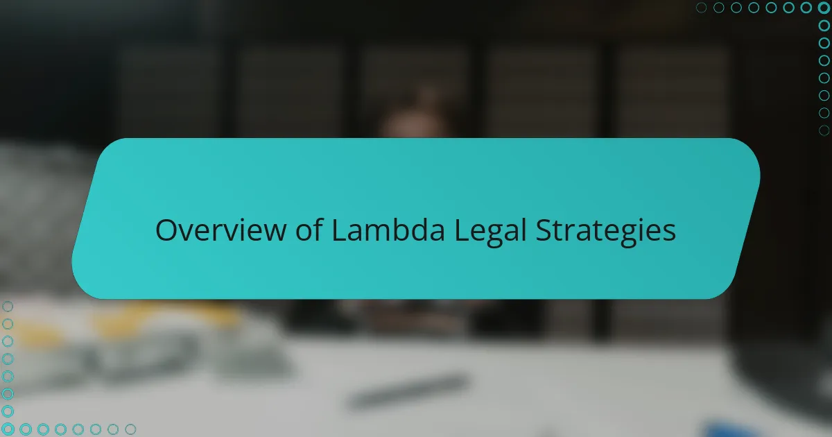 Overview of Lambda Legal Strategies