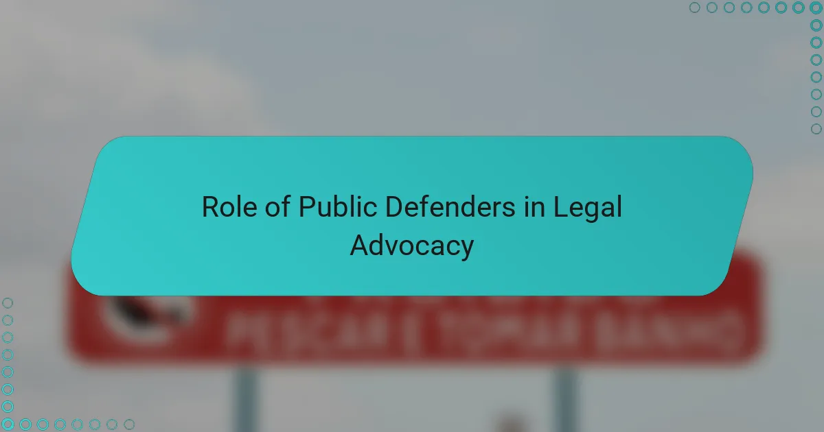 Role of Public Defenders in Legal Advocacy