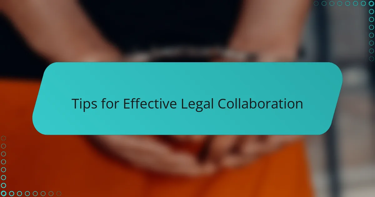 Tips for Effective Legal Collaboration