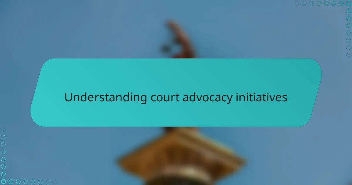 Understanding court advocacy initiatives