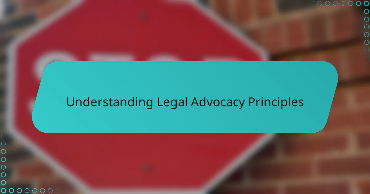 Understanding Legal Advocacy Principles