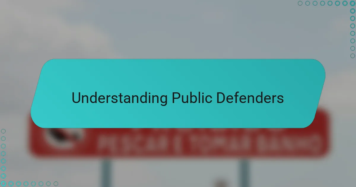 Understanding Public Defenders