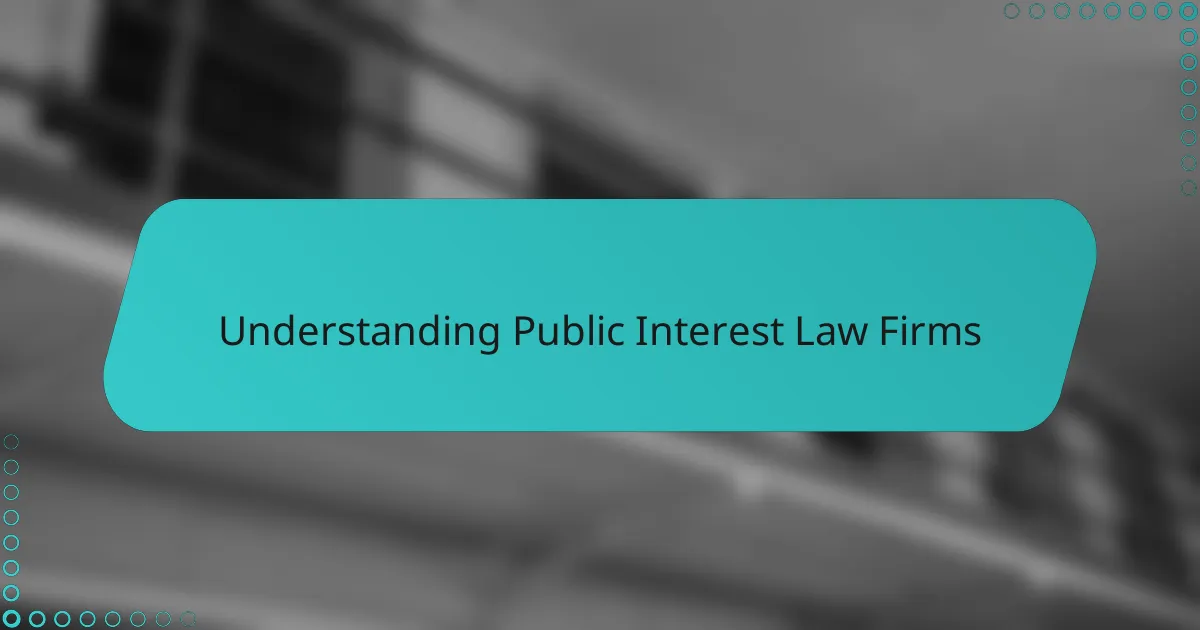 Understanding Public Interest Law Firms